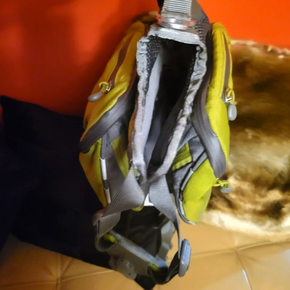 REI Pet Travel Backpack Harness